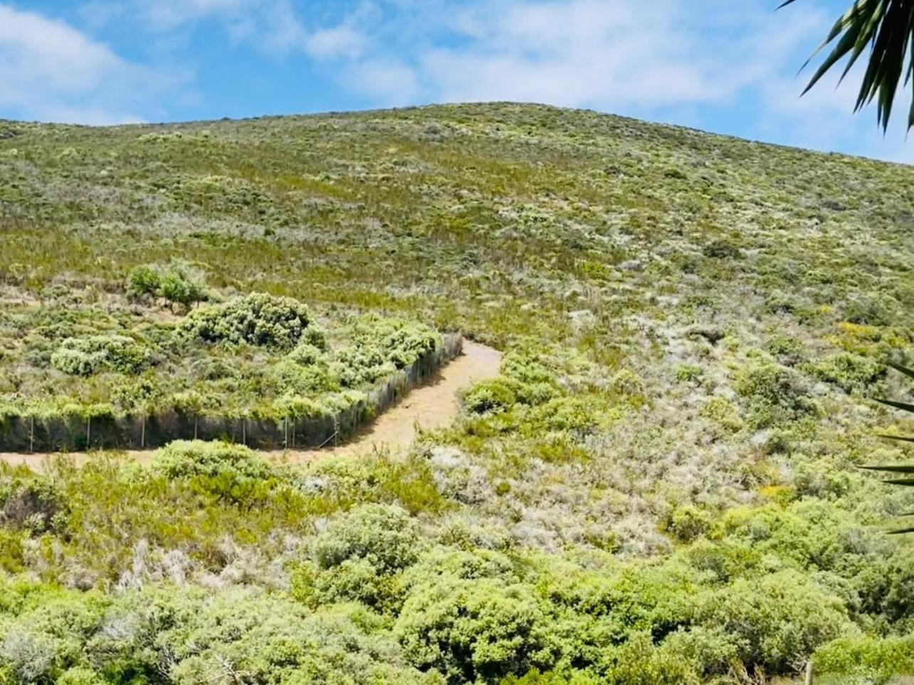 Hotel Vibes Cape Town Plattekloof Ruang foto